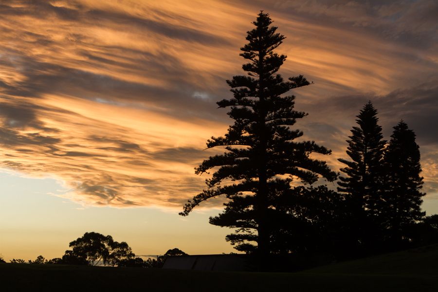 Golden clouds.